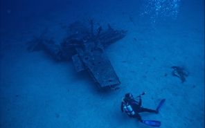 Scuba diving at wreck
